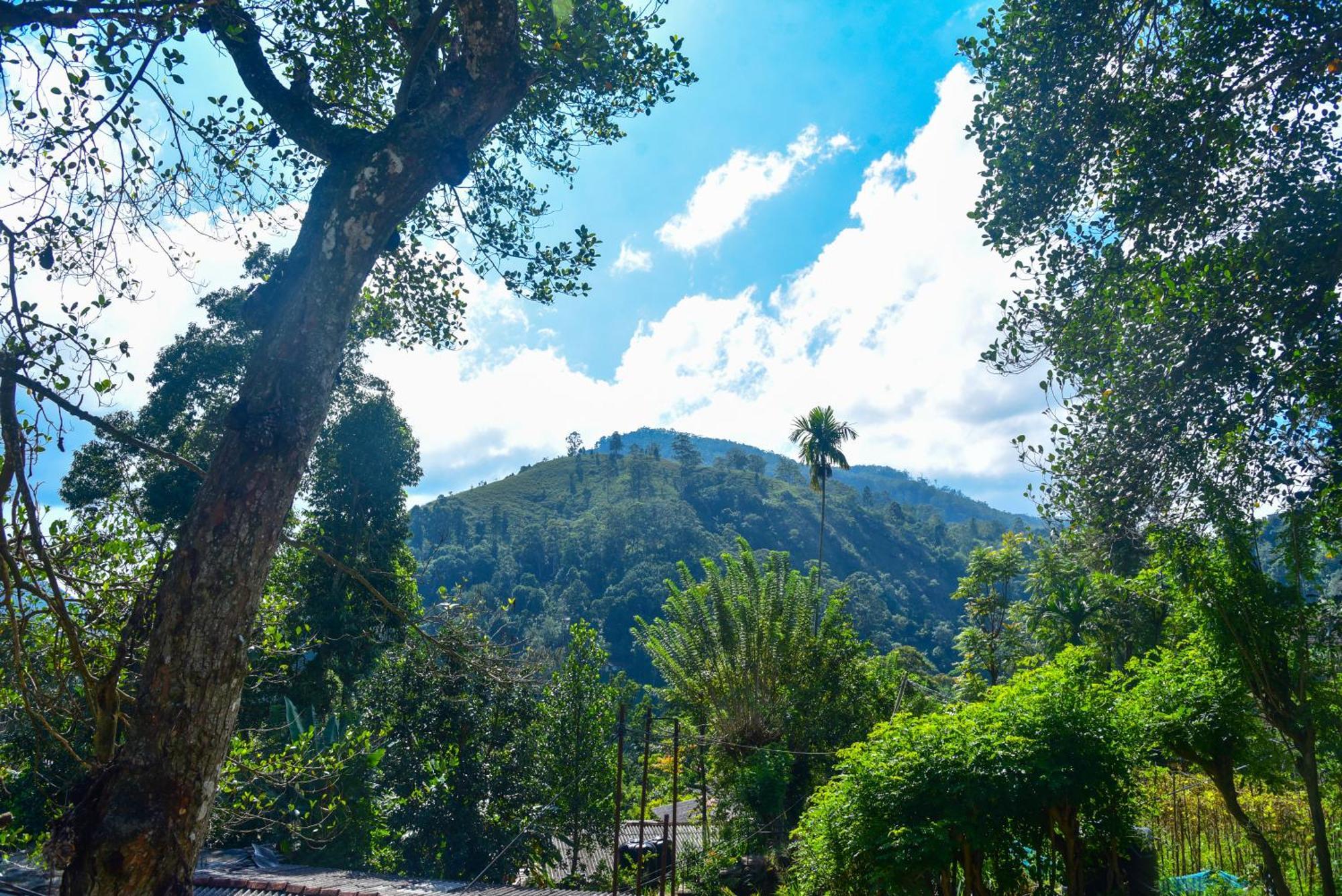 Dawn View Home Stay Ella Exterior foto